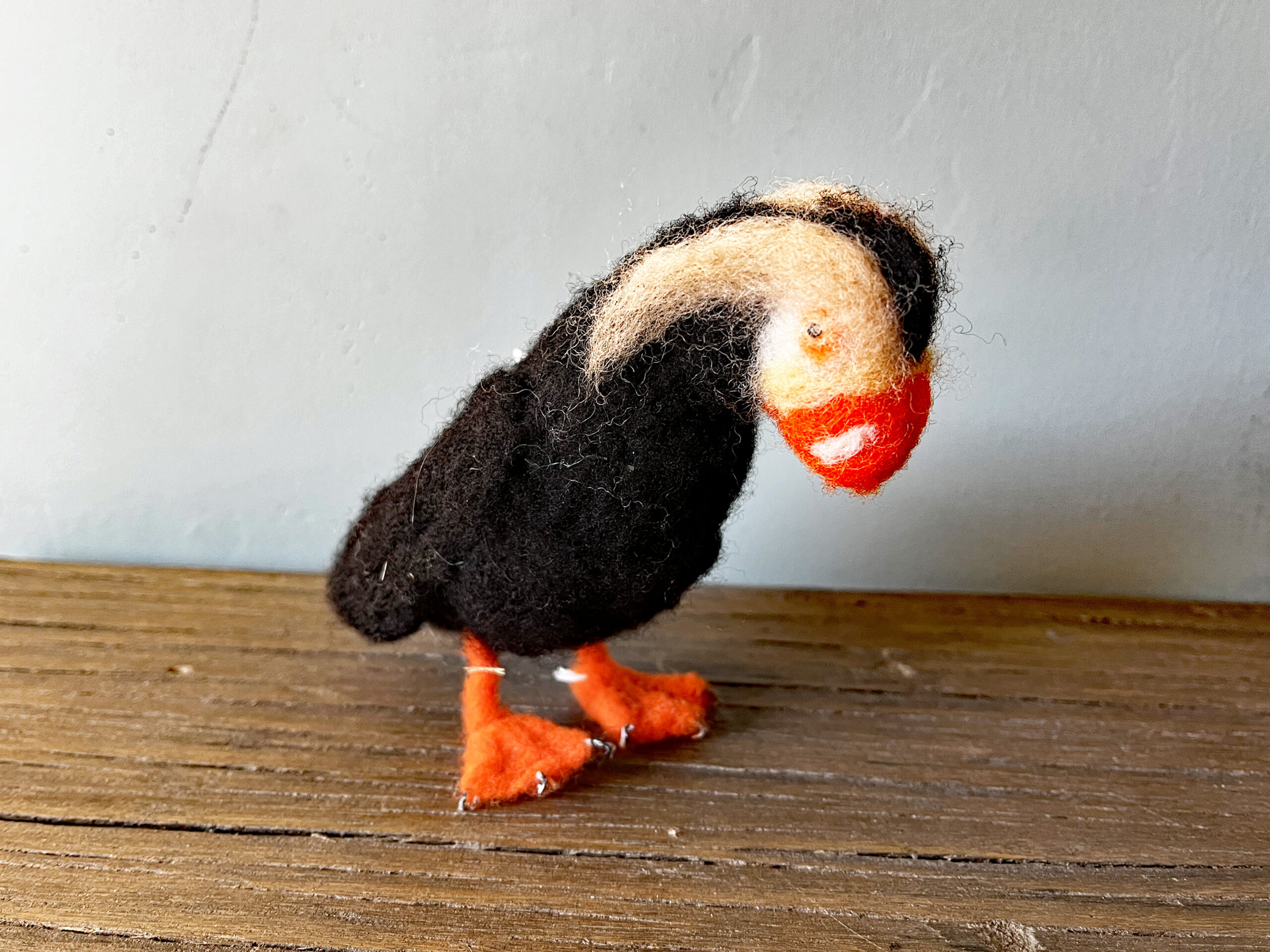 Tufted Puffin