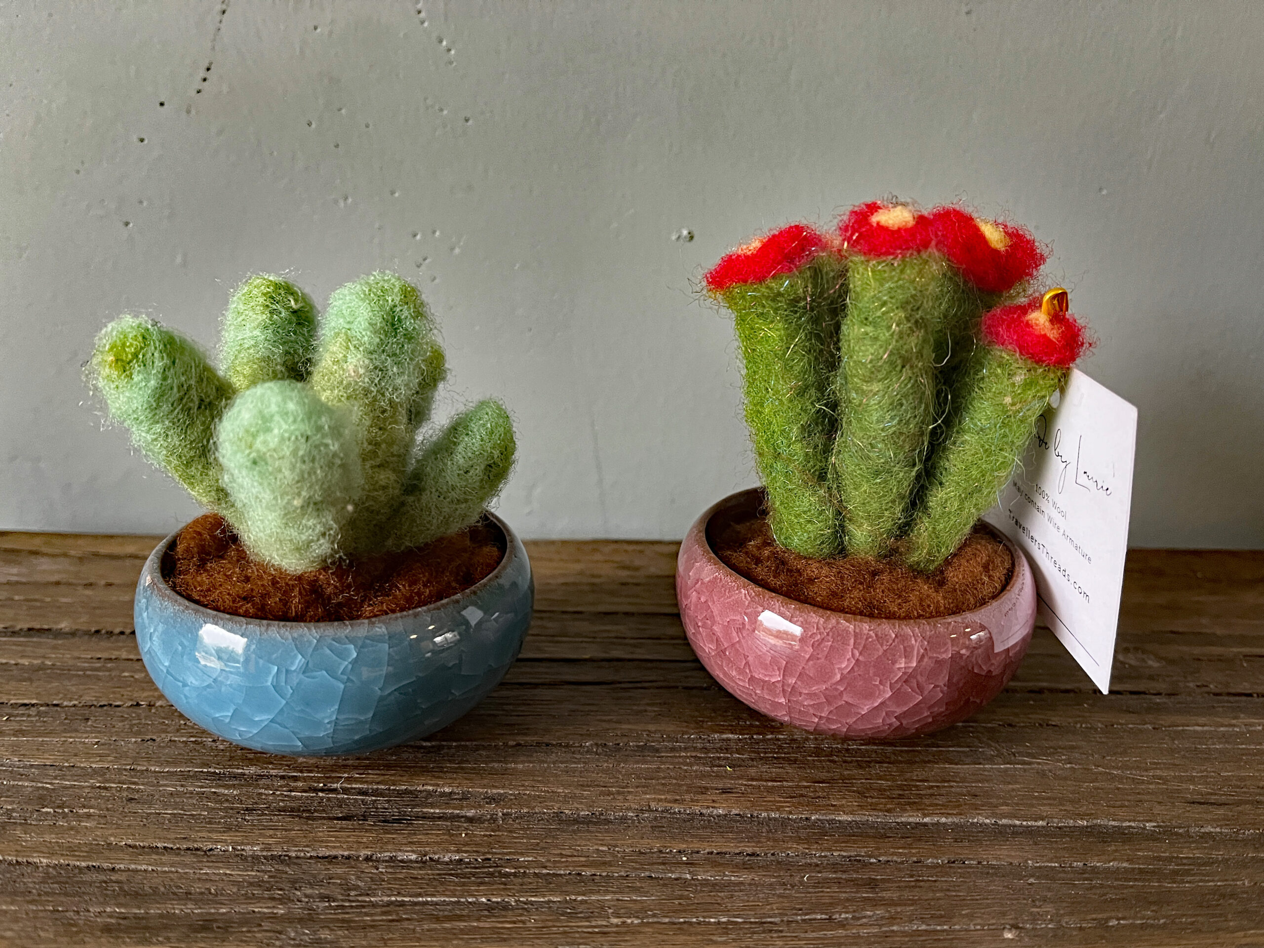 Potted Cactus